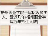 梧州职业学院一届招收多少人，最近几年(梧州职业学院近年招生人数)