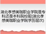 湖北孝感美珈职业学院是专科还是本科院校呢(湖北孝感美珈职业学院学历层次)