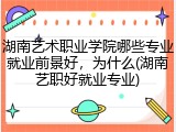 湖南艺术职业学院哪些专业就业前景好，为什么(湖南艺职好就业专业)