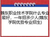 赣东职业技术学院什么专业最好，一年招多少人(赣东学院优势专业招生)