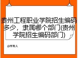 贵州工程职业学院招生编码多少，隶属哪个部门(贵州学院招生编码部门)