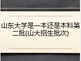 山东大学是一本还是本科第二批(山大招生批次)