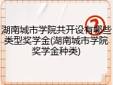 湖南城市学院共开设有哪些类型奖学金(湖南城市学院奖学金种类)