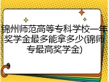 锦州师范高等专科学校一年奖学金最多能拿多少(锦师专最高奖学金)