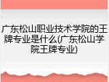 广东松山职业技术学院的王牌专业是什么(广东松山学院王牌专业)