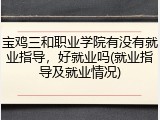 宝鸡三和职业学院有没有就业指导，好就业吗(就业指导及就业情况)