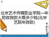 北京艺术传媒职业学院一年财政拨款大概多少钱(北京艺院年拨款)