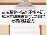 武威职业学院能不能考研，成绩在哪里查询(武威职院考研成绩查询)
