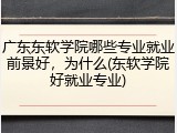 广东东软学院哪些专业就业前景好，为什么(东软学院好就业专业)