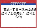 三亚城市职业学院就读期间挂科了怎么办呢？(挂科怎么办)
