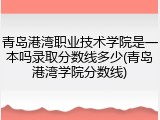 青岛港湾职业技术学院是一本吗录取分数线多少(青岛港湾学院分数线)