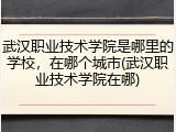 武汉职业技术学院是哪里的学校，在哪个城市(武汉职业技术学院在哪)