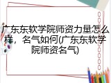 广东东软学院师资力量怎么样，名气如何(广东东软学院师资名气)