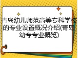 青岛幼儿师范高等专科学校的专业设置概况介绍(青岛幼专专业概览)