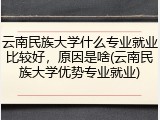 云南民族大学什么专业就业比较好，原因是啥(云南民族大学优势专业就业)