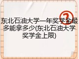 东北石油大学一年奖学金最多能拿多少(东北石油大学奖学金上限)