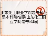 山东化工职业学院是专科还是本科院校呢(山东化工职业学院是专科吗)