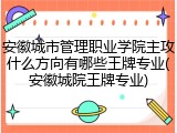 安徽城市管理职业学院主攻什么方向有哪些王牌专业(安徽城院王牌专业)