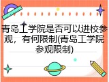 青岛工学院是否可以进校参观，有何限制(青岛工学院参观限制)