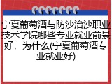 宁夏葡萄酒与防沙治沙职业技术学院哪些专业就业前景好，为什么(宁夏葡萄酒专业就业好)
