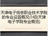 天津电子信息职业技术学院的专业设置概况介绍(天津电子学院专业概览)
