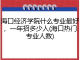 海口经济学院什么专业最好，一年招多少人(海口热门专业人数)