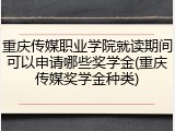 重庆传媒职业学院就读期间可以申请哪些奖学金(重庆传媒奖学金种类)