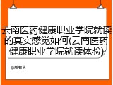 云南医药健康职业学院就读的真实感觉如何(云南医药健康职业学院就读体验)
