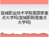 宣城职业技术学院是国家重点大学吗(宣城职院是重点大学吗)