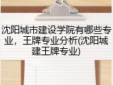沈阳城市建设学院有哪些专业，王牌专业分析(沈阳城建王牌专业)