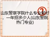 山东警察学院什么专业最好，一年招多少人(山东警院热门专业)