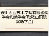 鞍山职业技术学院有哪些奖学金和助学金呢(鞍山职院奖助学金)
