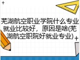 芜湖航空职业学院什么专业就业比较好，原因是啥(芜湖航空职院好就业专业)