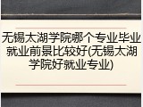 无锡太湖学院哪个专业毕业就业前景比较好(无锡太湖学院好就业专业)