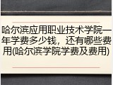 哈尔滨应用职业技术学院一年学费多少钱，还有哪些费用(哈尔滨学院学费及费用)