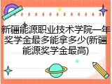 新疆能源职业技术学院一年奖学金最多能拿多少(新疆能源奖学金最高)