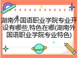 湖南外国语职业学院专业开设有哪些,特色在哪(湖南外国语职业学院专业特色)
