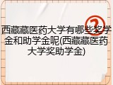 西藏藏医药大学有哪些奖学金和助学金呢(西藏藏医药大学奖助学金)