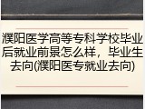 濮阳医学高等专科学校毕业后就业前景怎么样，毕业生去向(濮阳医专就业去向)