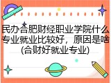 民办合肥财经职业学院什么专业就业比较好，原因是啥(合财好就业专业)