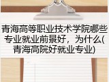 青海高等职业技术学院哪些专业就业前景好，为什么(青海高院好就业专业)