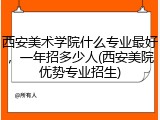 西安美术学院什么专业最好，一年招多少人(西安美院优势专业招生)