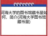 河海大学的图书馆藏书量如何，简介(河海大学图书馆藏书量)