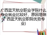 广西蓝天航空职业学院什么专业就业比较好，原因是啥(广西蓝天航空职院优势专业)