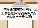 广西英华国际职业学院一年奖学金最多能拿多少(广西英华奖学金最高额)