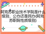 阿克苏职业技术学院是什么级别，公办还是民办(阿克苏职院性质级别)