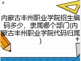内蒙古丰州职业学院招生编码多少，隶属哪个部门(内蒙古丰州职业学院代码归属)