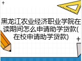 黑龙江农业经济职业学院在读期间怎么申请助学贷款(在校申请助学贷款)