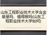山东工程职业技术大学含金量量吗，值得报吗(山东工程职业技术大学如何)