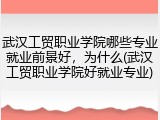 武汉工贸职业学院哪些专业就业前景好，为什么(武汉工贸职业学院好就业专业)